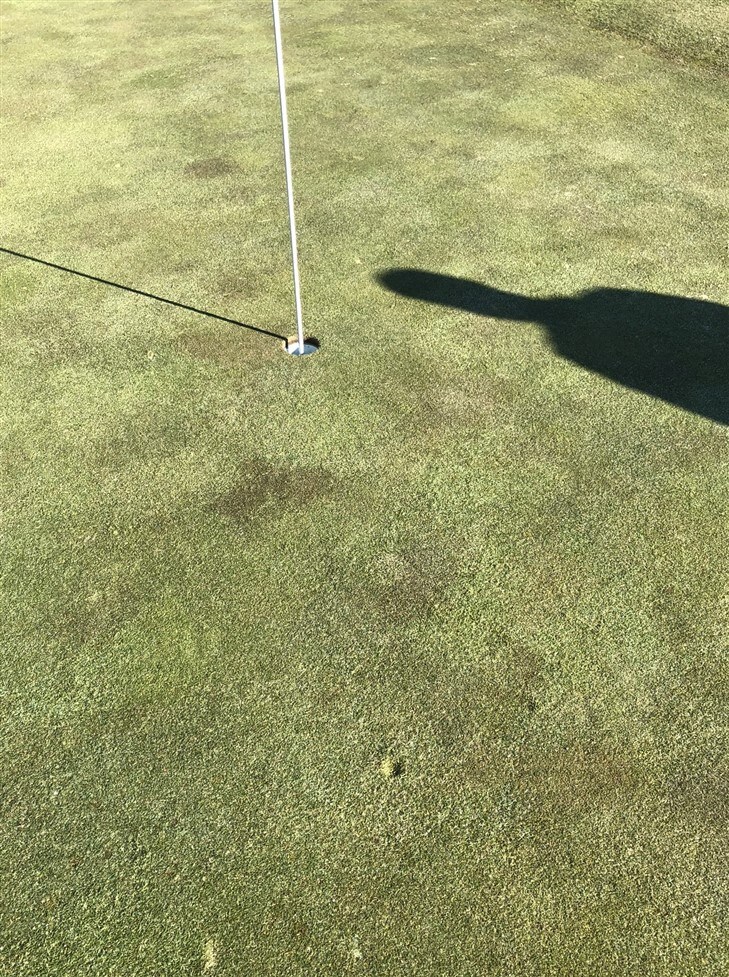 First Ace