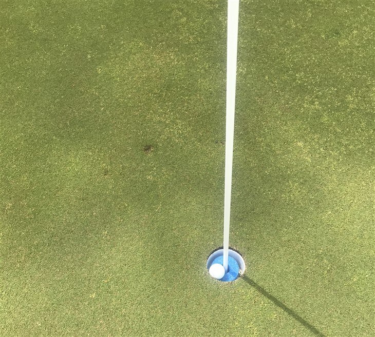 Love My Pro V1s