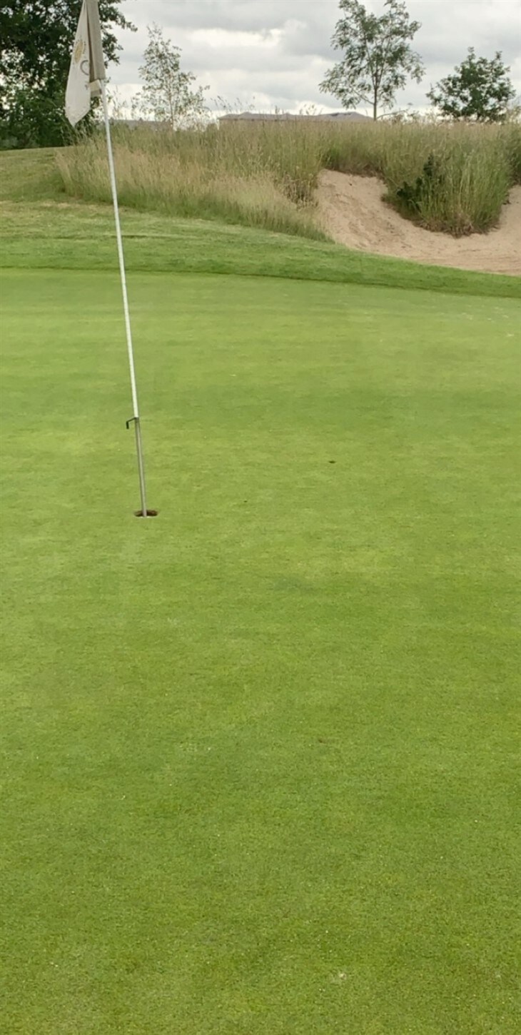 A disappointing hole in one?!?!