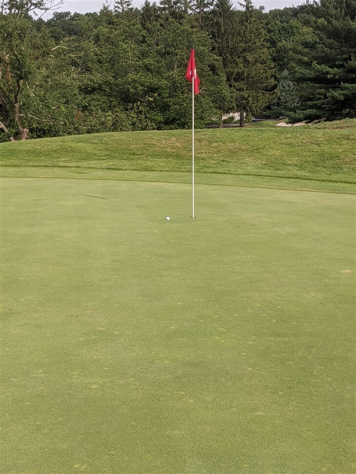 Almost a 2-fer