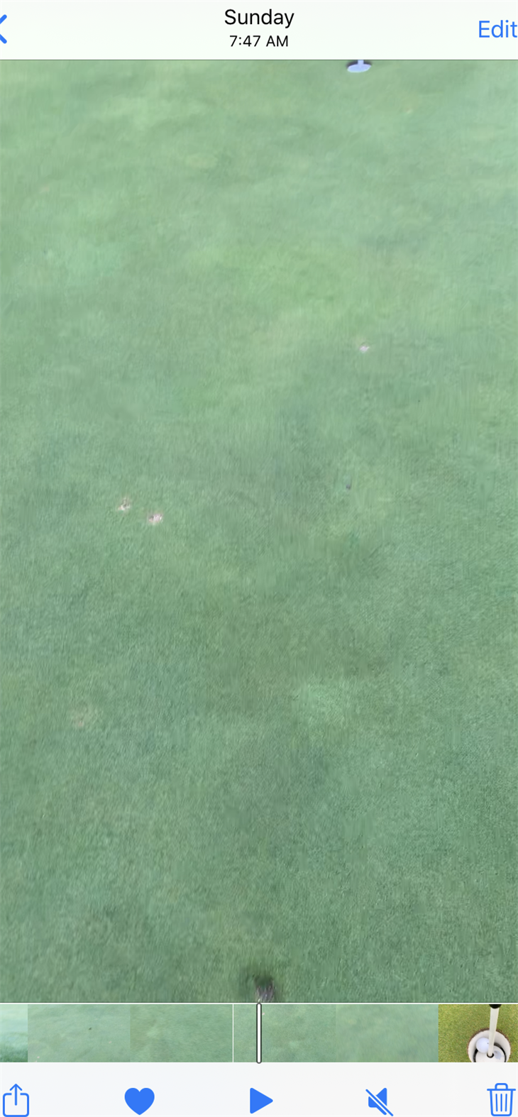 Rick VanDis 2nd Ace (this from 9/06/20)