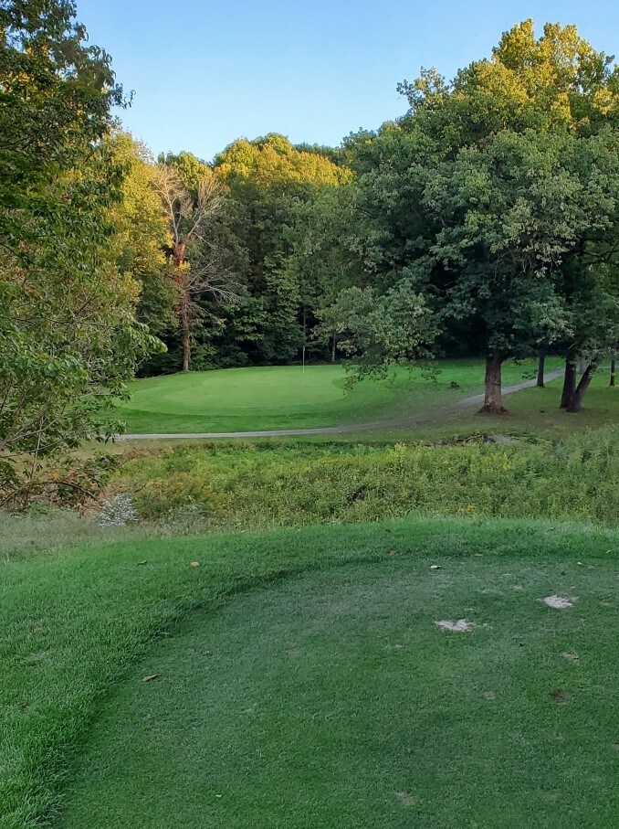 Deer Track Golf Club #15