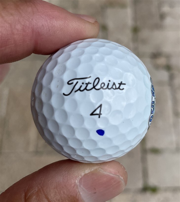 Albatross!